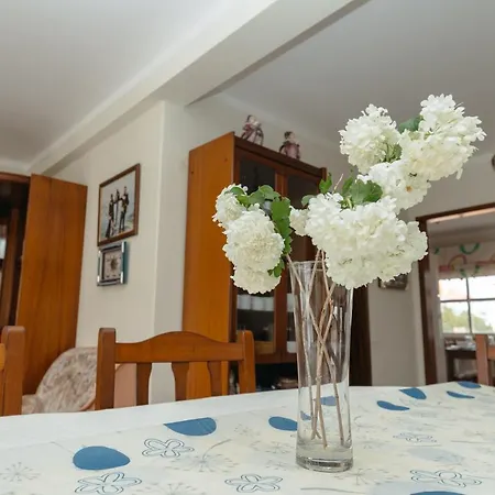Casa Vital - Baleal House Holiday home